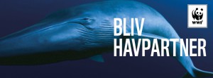 Havpartner
